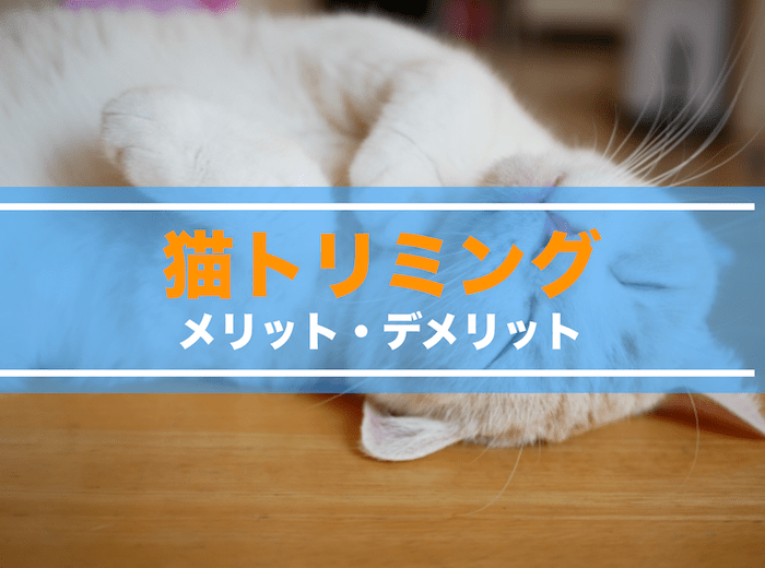 トリミングサロンは猫のカットも始めたほうがいいのか？
