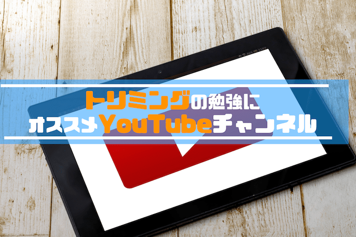 トリミングの勉強にYouTubeおすすめチャンネルを紹介
