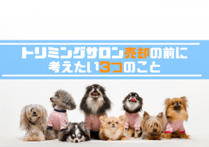 トリマーの給料の上げ方の5つのコツ トリマーワーカー トリミングサロン経営 トリマー独立情報 トリマーの給料の上げ方の5つのコツ トリマーワーカー トリミングサロン経営 トリマー独立情報